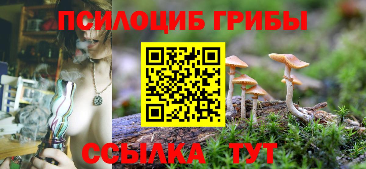 Галлюциногенные грибы GOLDEN TEACHER Петропавловск-Камчатский
