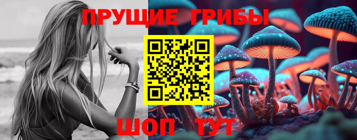 Псилоцибиновые грибы Cubensis  Вход с VPN  Петропавловск-Камчатский 